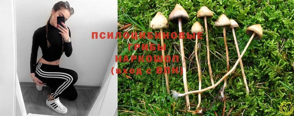 бошки Алексеевка
