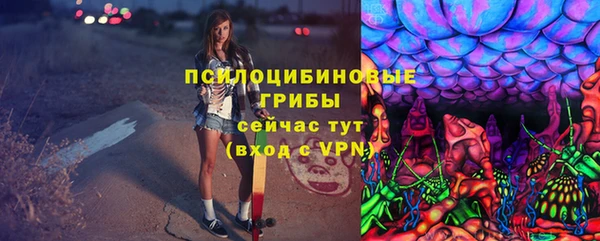 a pvp Алзамай