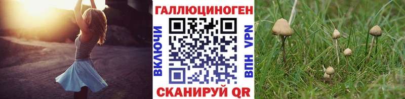 нарко площадка какой сайт  Динская  Галлюциногенные грибы прущие грибы 